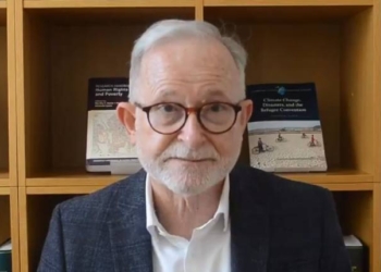 UN Expert