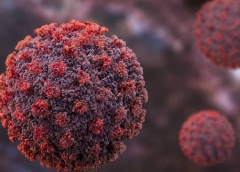 Hantavirus