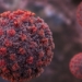 Hantavirus