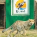 Botswana Cheetahs