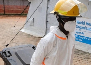 Ebola virus