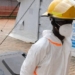 Ebola virus