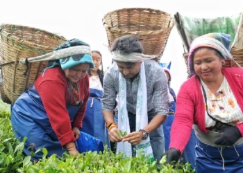 Tea Workers