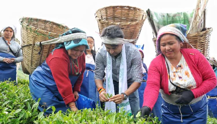 Tea Workers