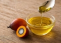 Palm Oil