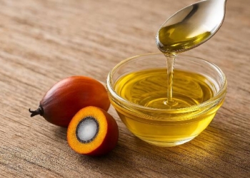 Palm Oil