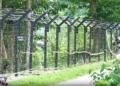West Bengal Borders