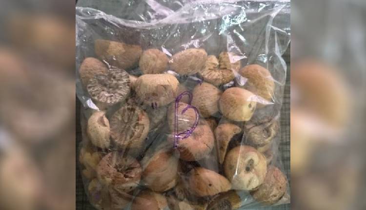 Nuts