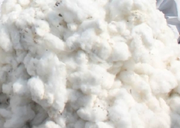 Cotton