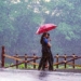 Heavy Rain