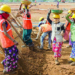 Outdoor Workers