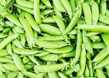 Jabalpur's Peas