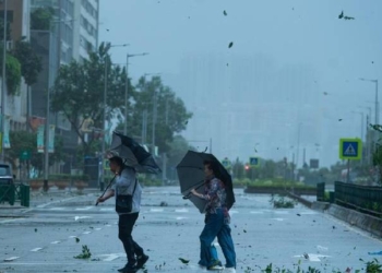 Typhoon Jangmi