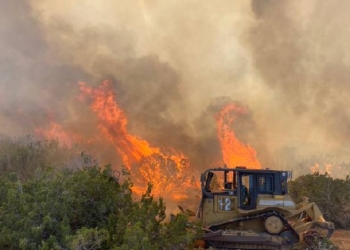 Fire Season