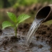 Water Conservation Model