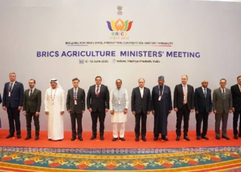 BRICS Nations