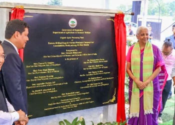 FM Sitharaman