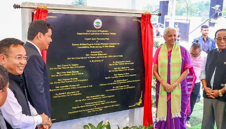 FM Sitharaman