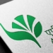 Agricultural and Processed Food Products Export Development Authority (APEDA)