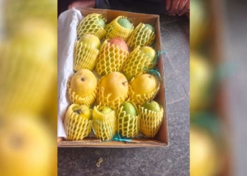 Indian Mangoes