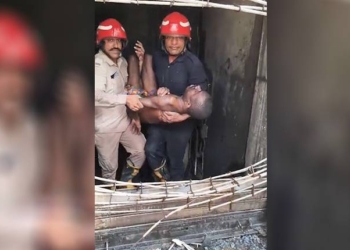 Malviya Nagar Fire