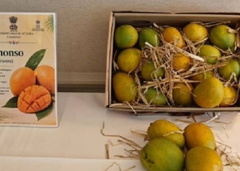 Mango Festival