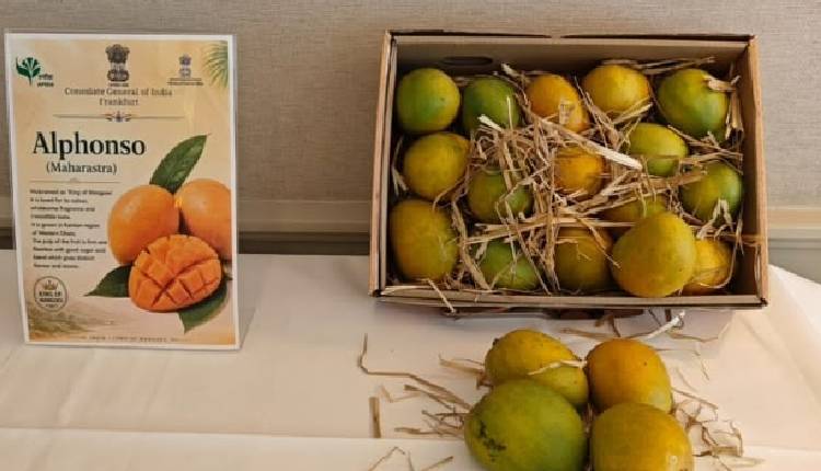 Mango Festival