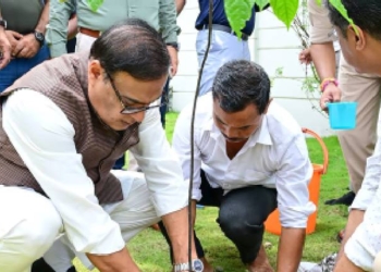 Plantation