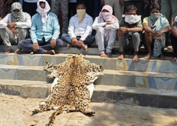 Leopard Skin Trade