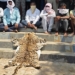 Leopard Skin Trade