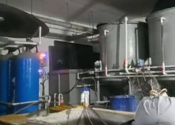 Toxic Gas