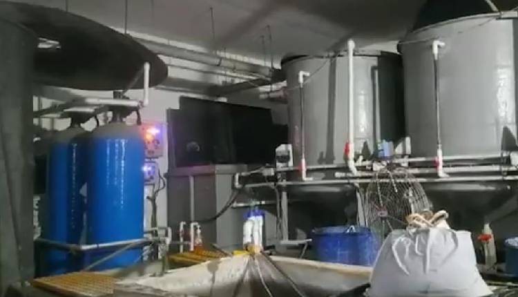 Toxic Gas