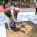 Prez Murmu, PM Modi
