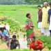 Dy CM Singh Deo