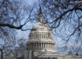 Photo taken on Feb. 9, 2021 shows the U.S. Capitol building in Washington, D.C., the United States.  (Xinhua/Liu Jie/IANS)