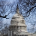 Photo taken on Feb. 9, 2021 shows the U.S. Capitol building in Washington, D.C., the United States. (Xinhua/Liu Jie/IANS)