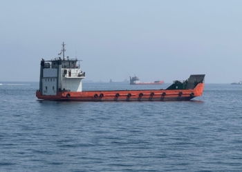 Khasab: This photo taken with a mobile phone shows merchant vessels stranded in the waters of the Strait of Hormuz, near Khasab, a small town in northern Oman, May 29, 2026. (Photo: Xinhua via IANS)