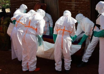 Ebola Cases