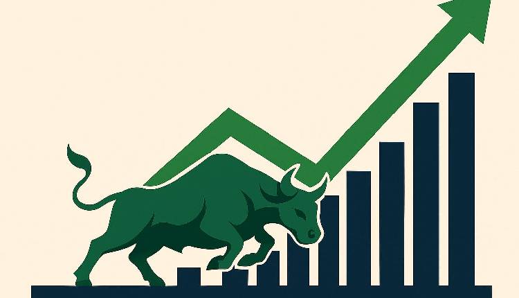 Indian equity benchmarks