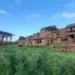 Ashtadhatu