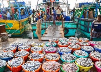 Seafood