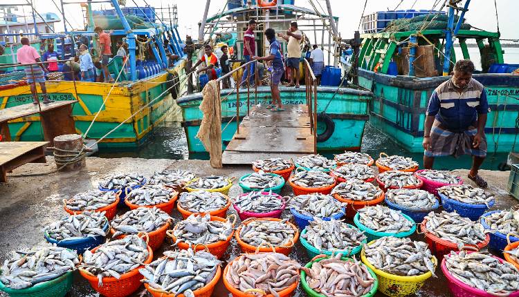 Seafood
