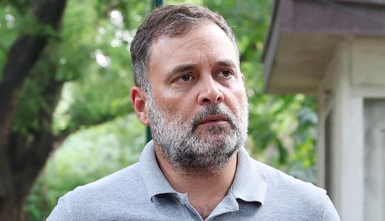 Rahul Gandhi