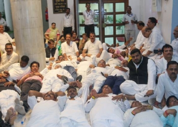 MP Assembly