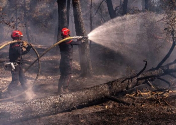 Wildfires