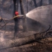 Wildfires