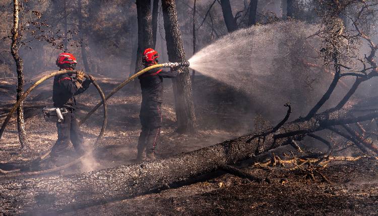 Wildfires