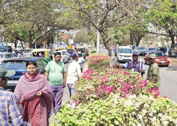 Beautification Drive