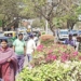 Beautification Drive