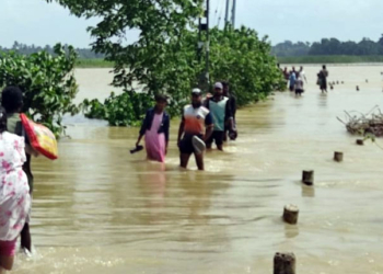 Odisha Flood Situation Under Control, 4 Districts Affected
